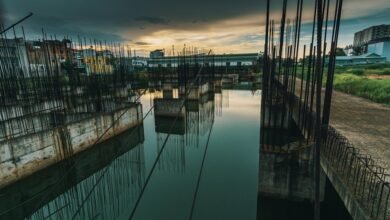 dynamic model progression updates