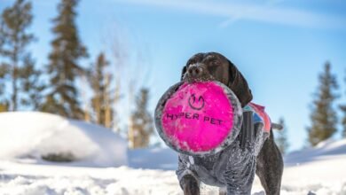 fusion node hyper technology